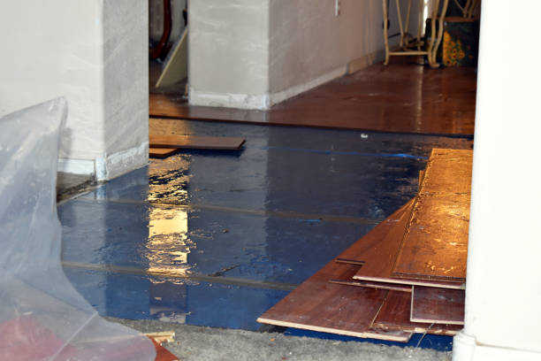 Professional Basement Flood Cleanup technician working in Heber, AZ